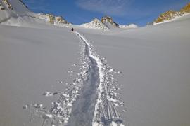 Plateau du Trient