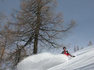 Snowboard