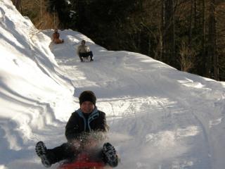 Luge