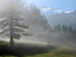 Près du col de la Forclaz