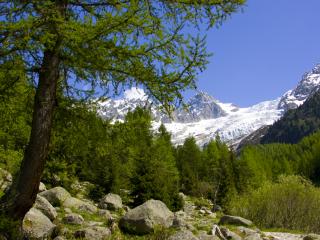 Glacier du Trient